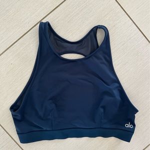 Alo High Neck Sports Bra